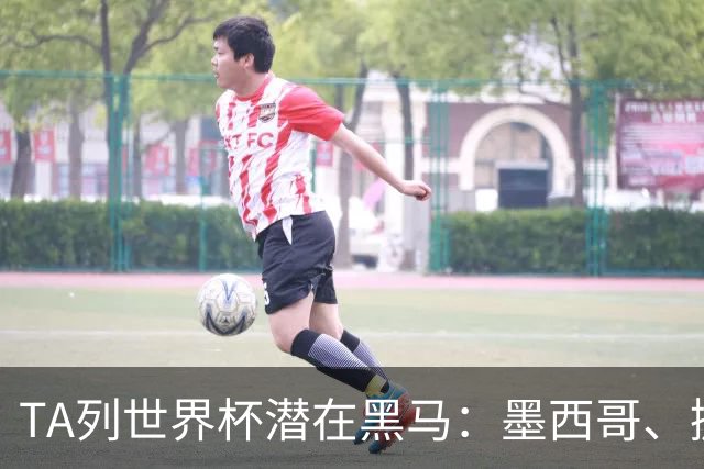 TA列世界杯潜在黑马：墨西哥、挪威、塞内加尔、日本、厄瓜多尔